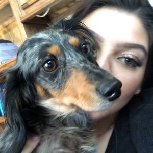 Meet your Posher, Jordan